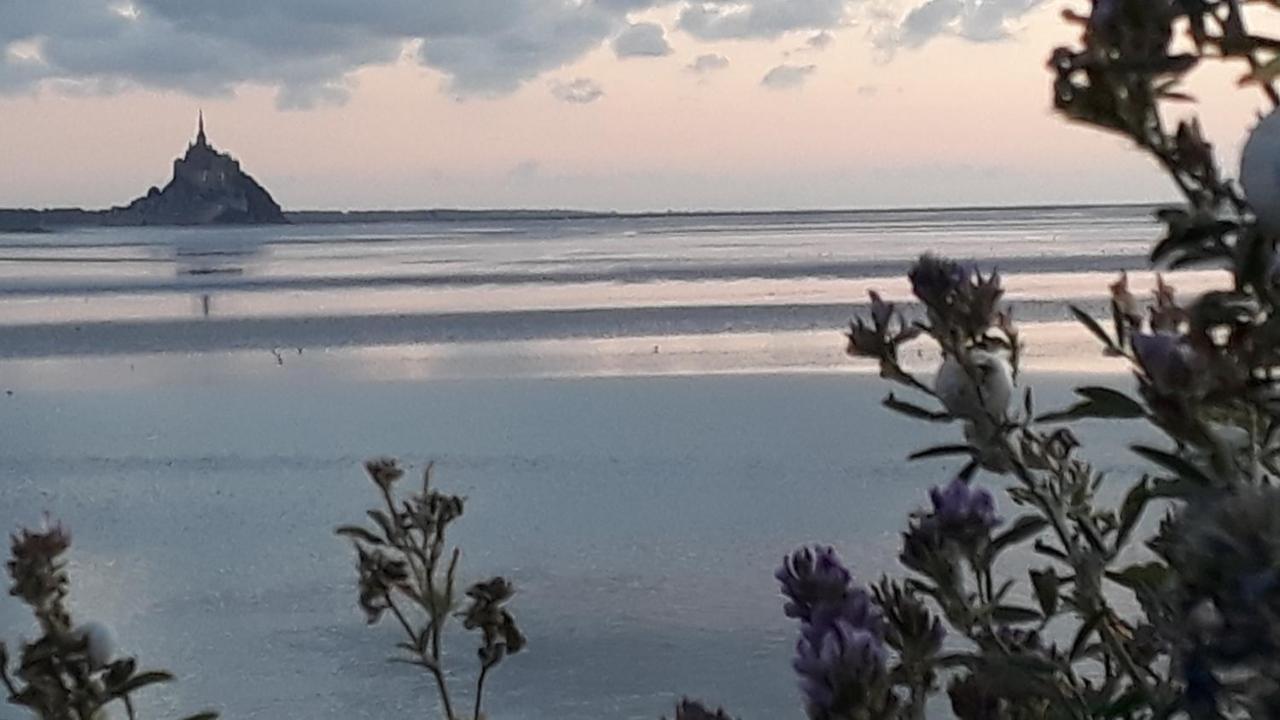 Gite La Bulle En Baie, Proche Mont Saint-Michel, Au Calme, Pour 4 Pers Crollon Eksteriør bilde